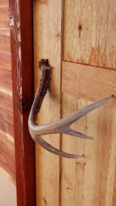 antler-handle