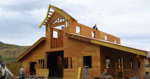 mid_framing_rear